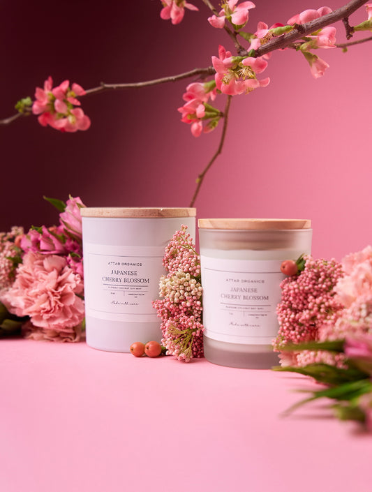 Japanese Cherry Blossom