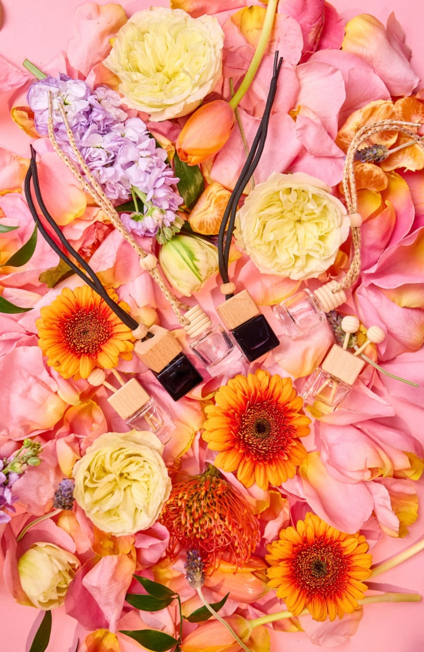 Spring car diffusers