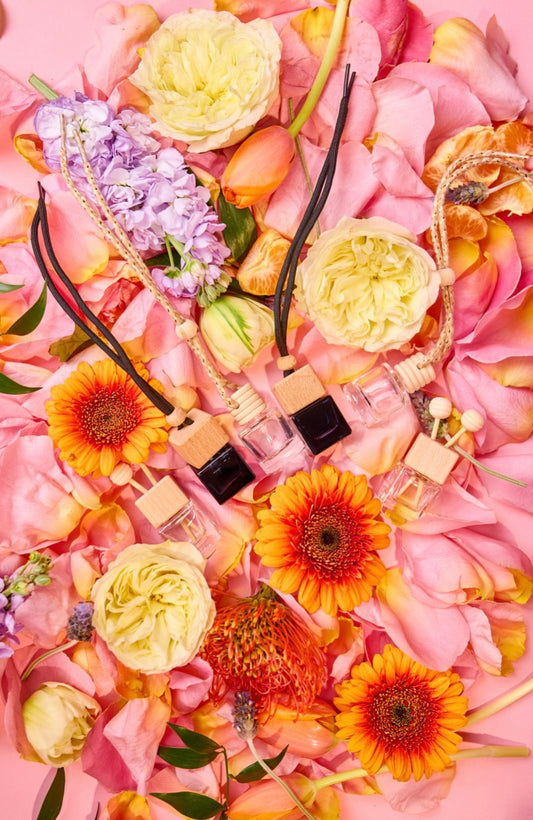 Spring car diffusers